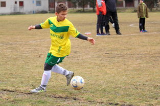 开云·体育官方网站入口-赛事焦点视频高光瞬间汇编,赛事焦点视频高光瞬间汇编下载