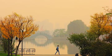 开云中国-1.7万名跑友奔赴江苏无锡最美湖湾 在秋日暖阳中感受运动激情，宝马投屏